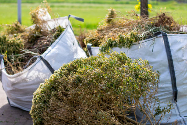 Best Recycling Services for Junk  in Monroe, WA